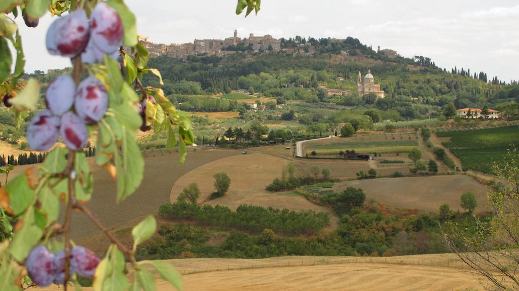Agriturismo Villa Mazzi Montepulciano Stazione المظهر الخارجي الصورة